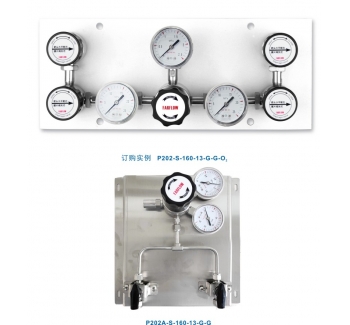P202系列雙側(cè)式特氣控制面板